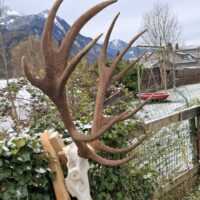 Miniaturansicht für das Anzeigenbild