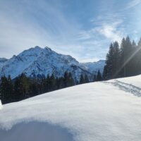 Miniaturansicht für das Anzeigenbild