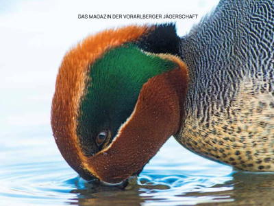 Jagdzeitung Cover 04 2023