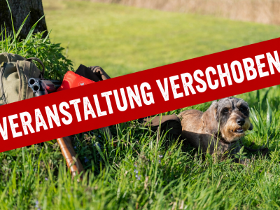 Harz_20260418_019_verschoben