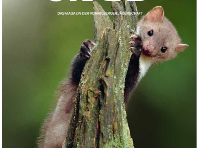 Jagdzeitung_03_2025_Cover
