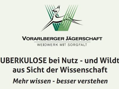 Screenshot 2026-01-15 141020